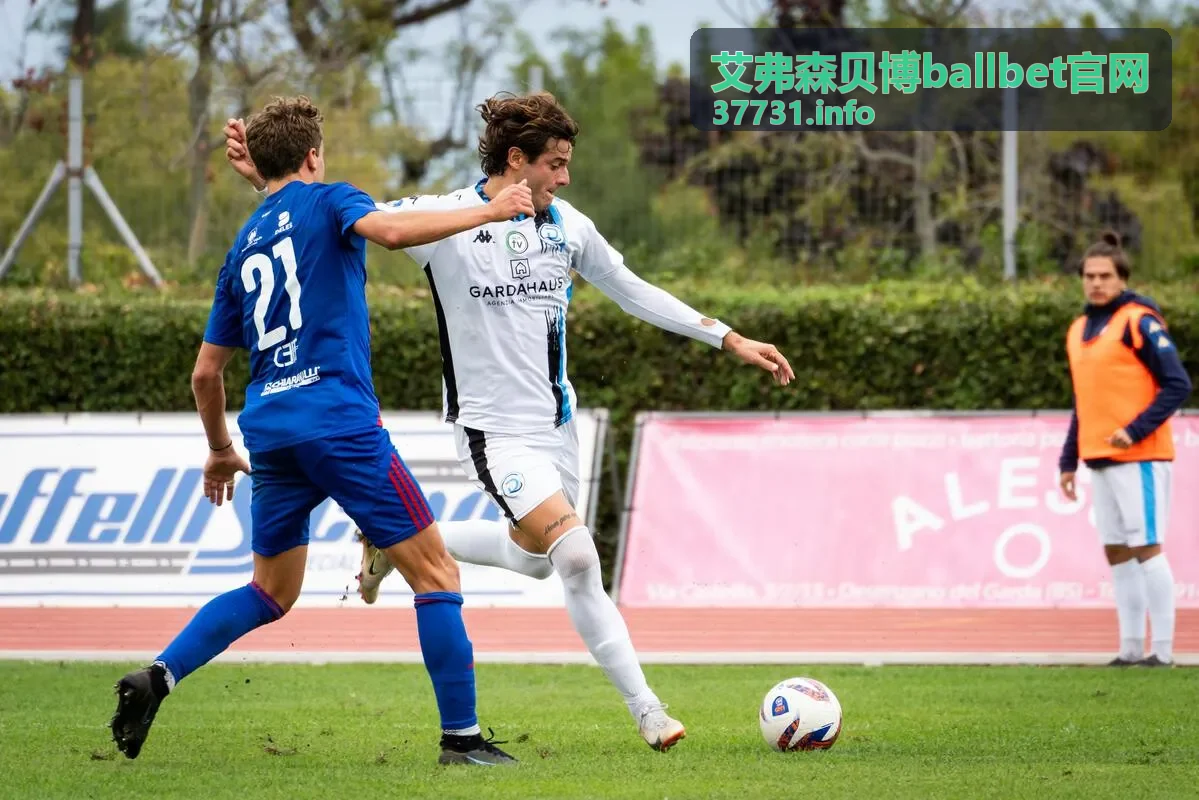 玩法百科常见玩法规则与操作流程-艾弗森贝博ballbet官网封面图